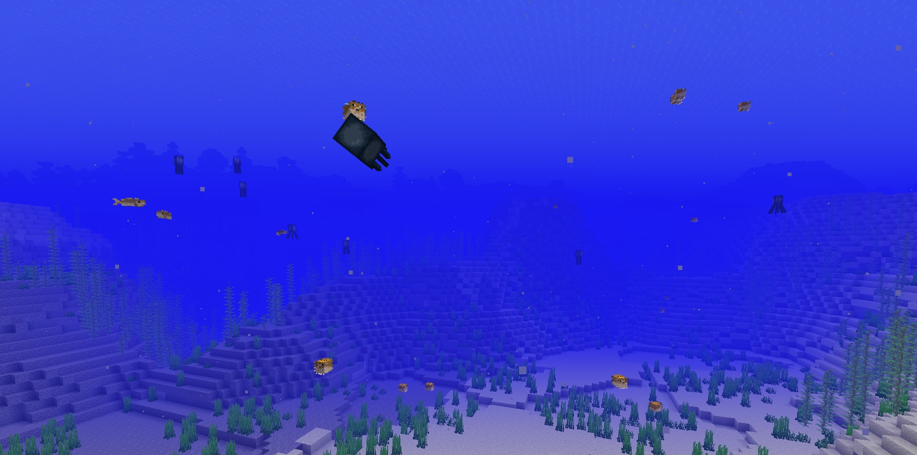 aktualizacja oceanu nowe biomy letni ocean 2