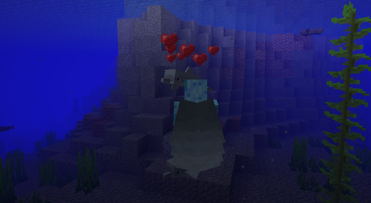 karmienie delfina surowym dorszem minecraft