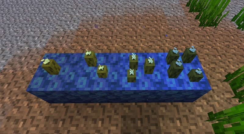 podwodne pochodnie minecraft sea pickles