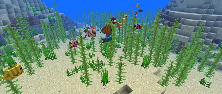 snapshot 18w10a nowa tropikalna ryba skarby rosliny koralowe