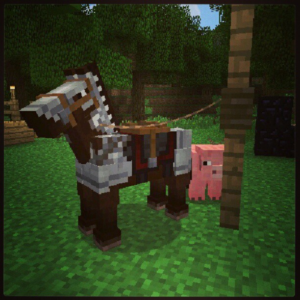 aktualizacja-konie-minecraft-1.6-pvp