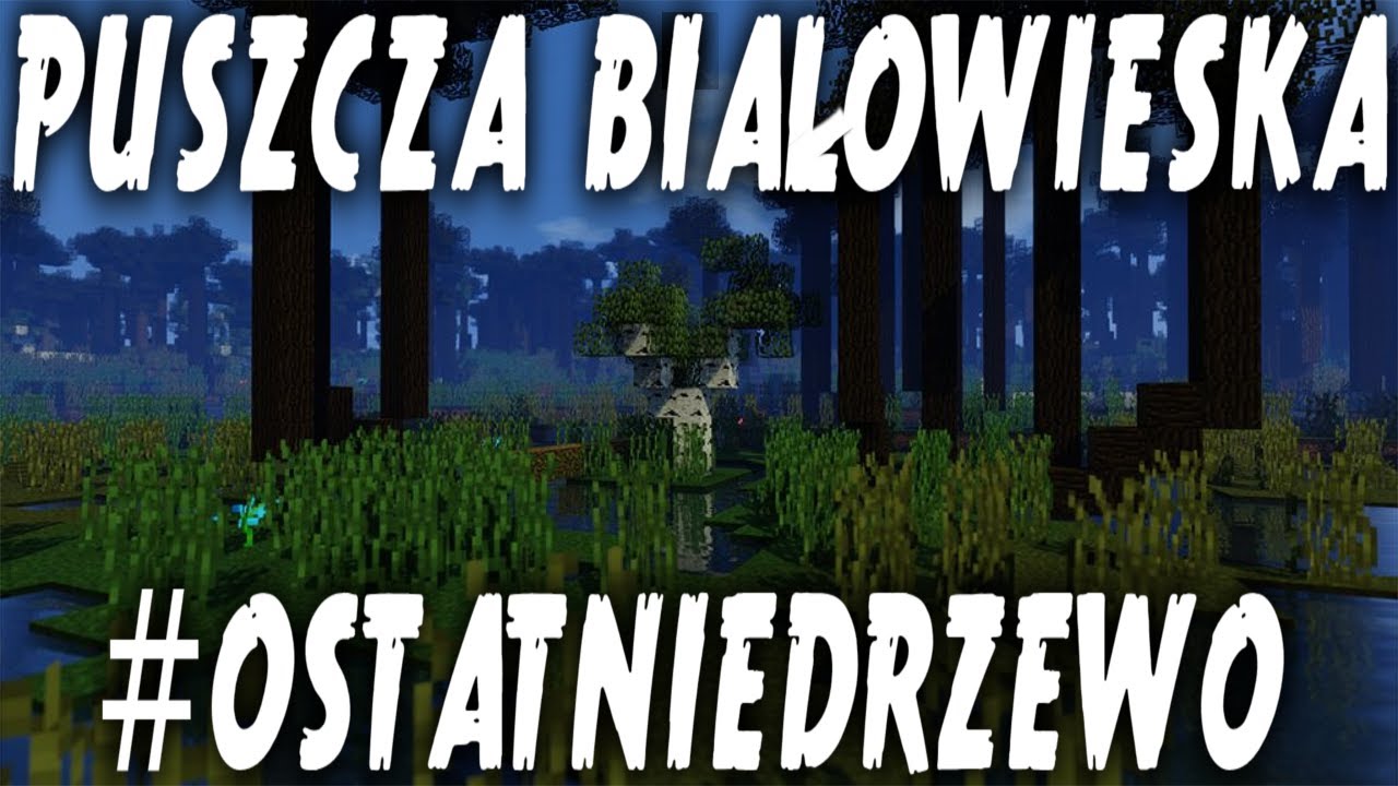 puszcza bialowieska minecraft ostatnie drzewo