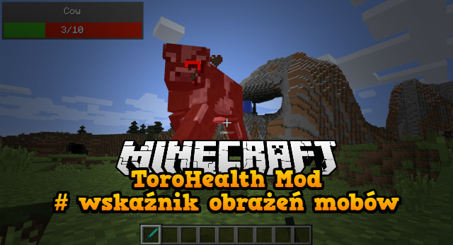 ToroHealth Mod wskaźnik obrażeń mobów