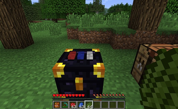 ender-storage-chickenbones