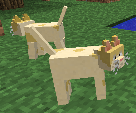Mo-Creatures-Minecraft-koty