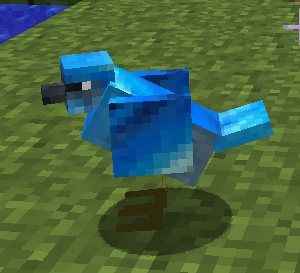Mo-Creatures-ptaki