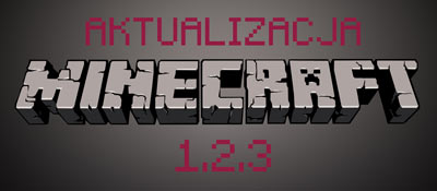 aktualizacja-1.2.3-update-bug